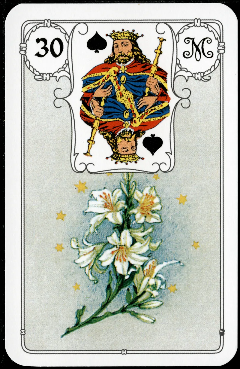 Carta Lírio